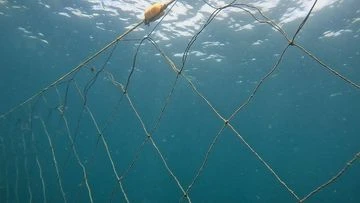 Shark nets go up in NSW - but some will vanish soon