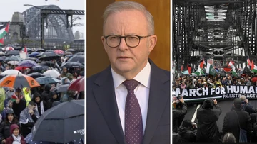 Albanese says 100,000-strong pro-Palestine protest 'not surprising'