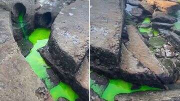 Bizarre find in Sydney beach's stormwater system baffles beachgoer