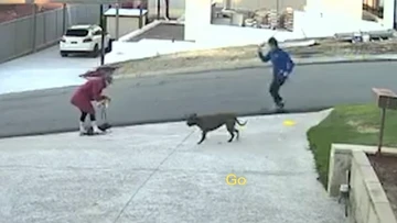 Woman mauled and her pet killed in vicious dog attack
