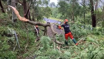 Rainfall 'the story and the focus' after cyclone crosses coast