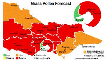 Victorians warned to brace for extreme pollen levels