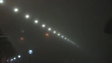 Ferry services cancelled as thick blanket of smog smothers Sydney