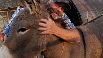 Pet donkey that disappeared five years ago spotted living with herd of elk