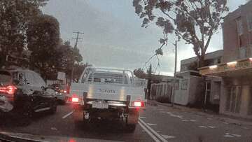 Video shows heart-stopping moment tree branch hits powerline