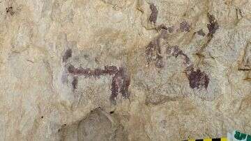 Man allegedly poured water onto ancient cave art for better pictures