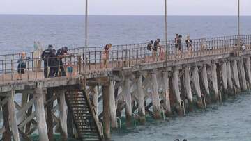 Man dies after being pulled from water at SA jetty