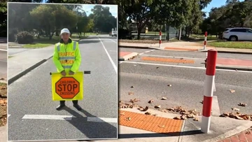 Police hunt for youth behind random attack on lollypop man