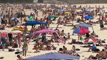 Aussie researchers develop free online tool to predict users' melanoma risk