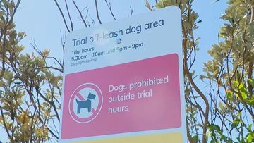 Popular Sydney beach trials leash-free dog area