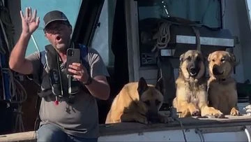 Aussie city and pub terrorised by boat-full of dogs