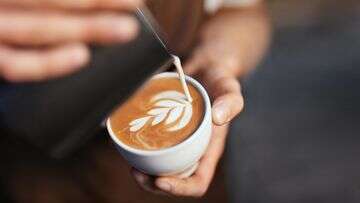 Drinking coffee while pregnant may not be bad, study finds