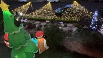 NSW family ordered to take down Christmas lights after 'Grinch' complaint