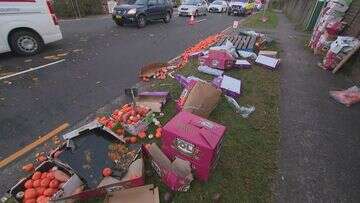 Fruit spillage closes Sydney road lane