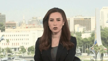 TV anchor forced to take cover after building hit live on air
