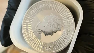 Millions in gold, silver and cash seized after alleged NDIS fraud