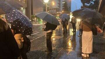 Brisbane has just had its wettest year in more than a century