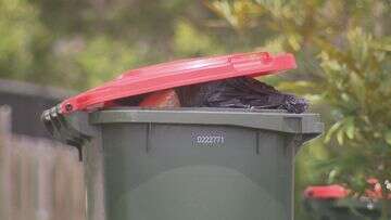 Thousands of bins could go uncollected during waste worker strike