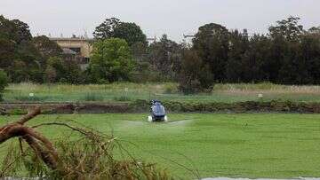 Major mozzie outbreak at Sydney water facility crushed