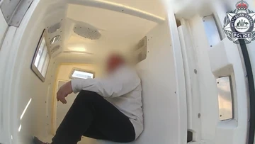 Man charged over alleged assault on plane after 'bathroom bid'