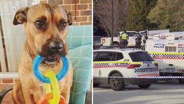 Owners of dog shot by police in Perth call for answers