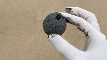 Mysterious ball-shaped debris forces popular Sydney beach to shut