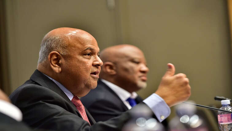 Gordhan prevented South Africa from becoming a failed state: Speakers