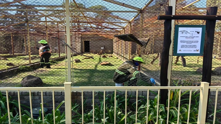 R30 million allocated to revamp Bloemfontein Zoo