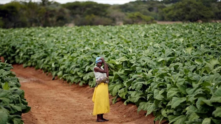 Africa must utilise agriculture to alleviate hunger: AU commissioner