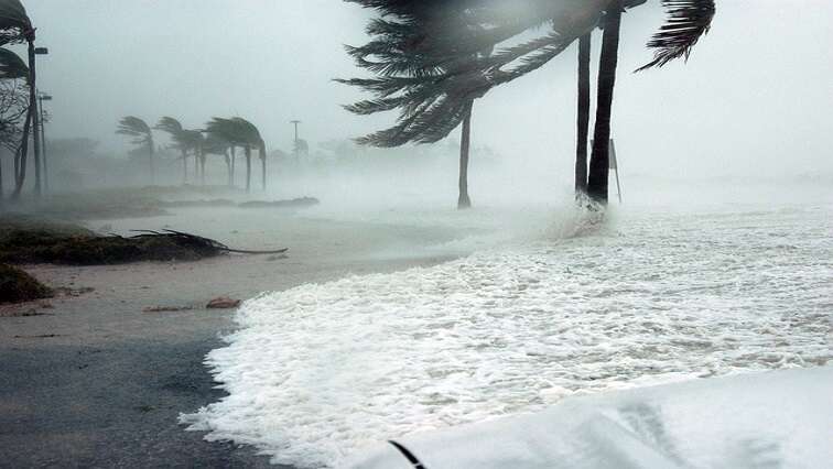 Damaging wind alert for Southern Cape coast