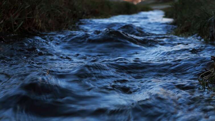 Woman’s body found floating in a canal at a Limpopo farm