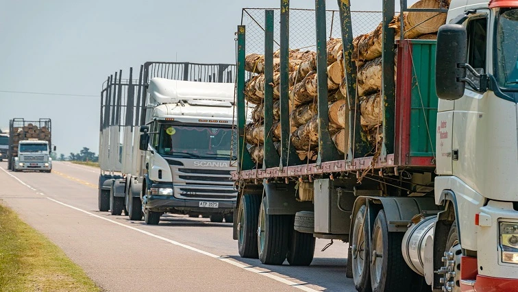 SA youth urged to grab opportunities in transport, logistics sector