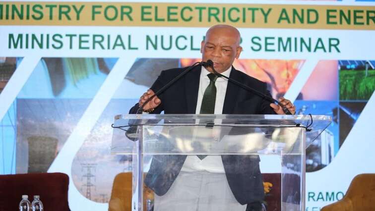 Critics of nuclear must use scientific arguments: Ramokgopa