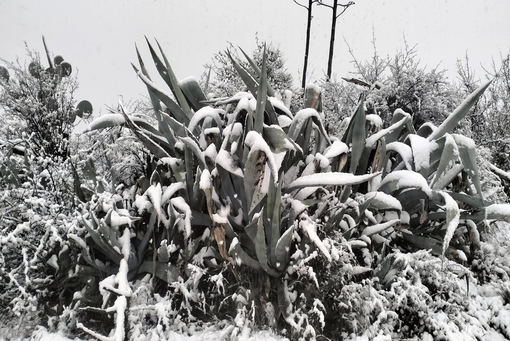 Eastern Cape inclement weather claims seven lives