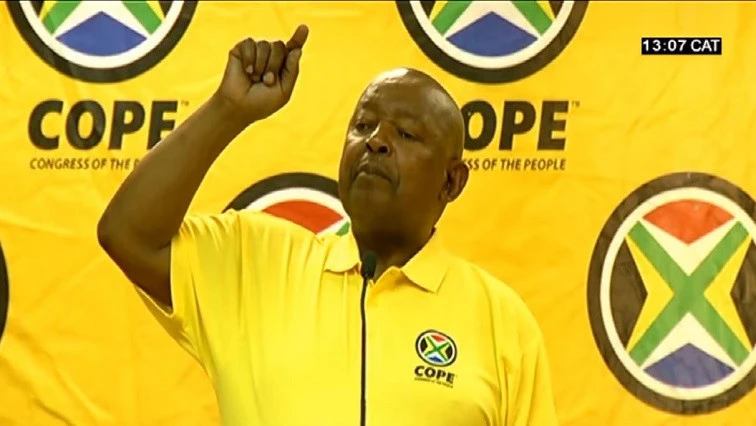 Local government elections must go ahead: COPE