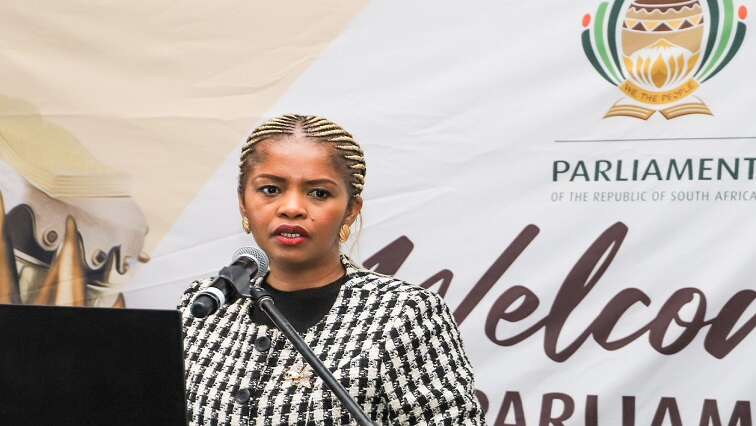 Parly committee hosts induction with Films Board, ICASA, and SABC