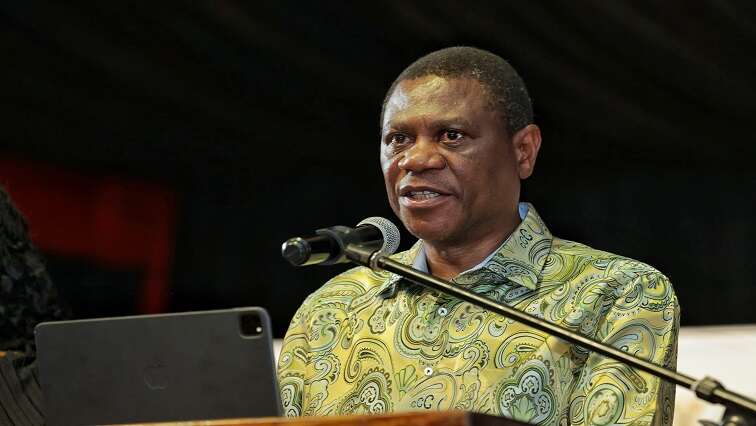 Mashatile calls for year-round action against GBV