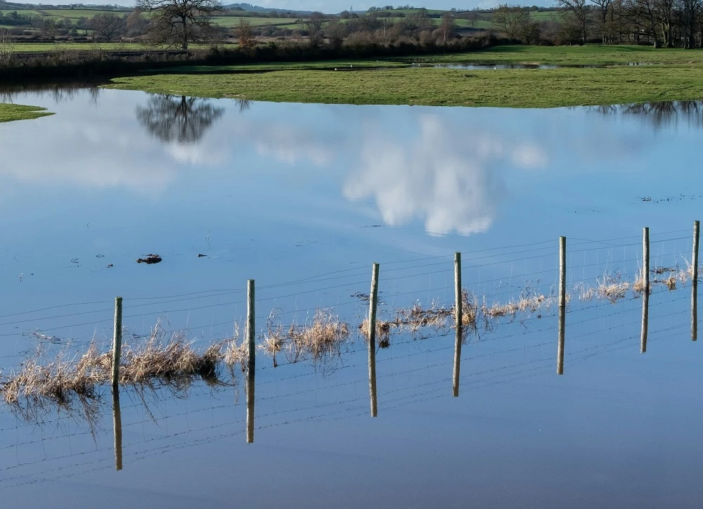 Farmers in Garden Route, Little Karoo counting losses due to floods