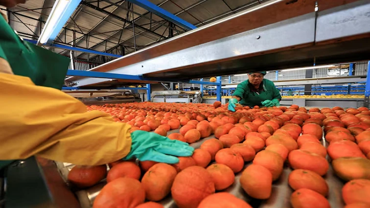 SA citrus set for export boost after China trade deal