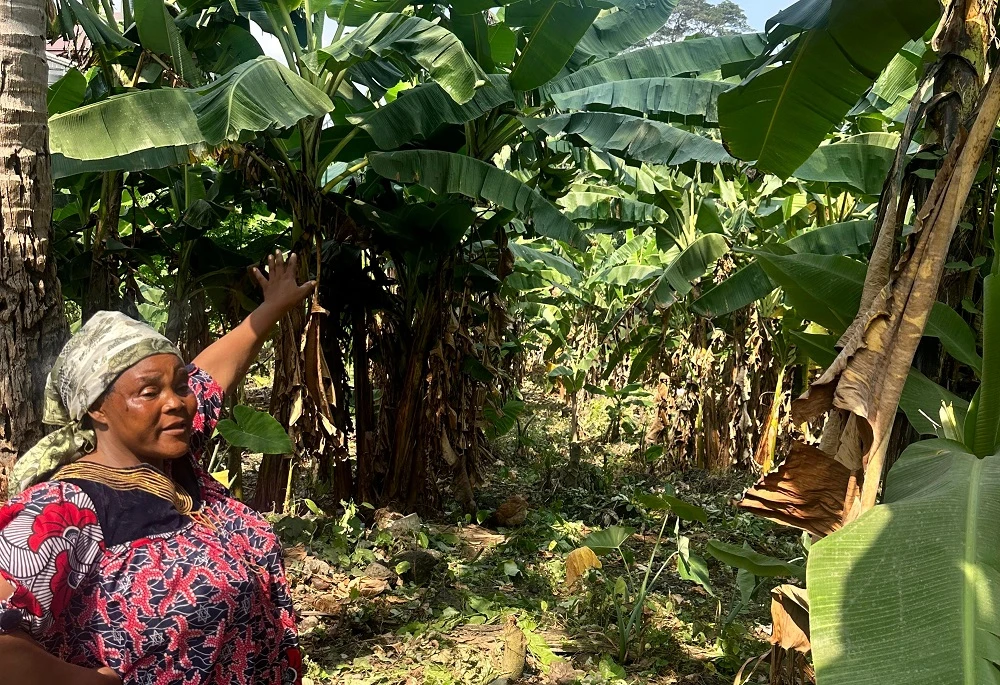 Rooted in resilience, SA’s food systems transformation must leave no one behind
