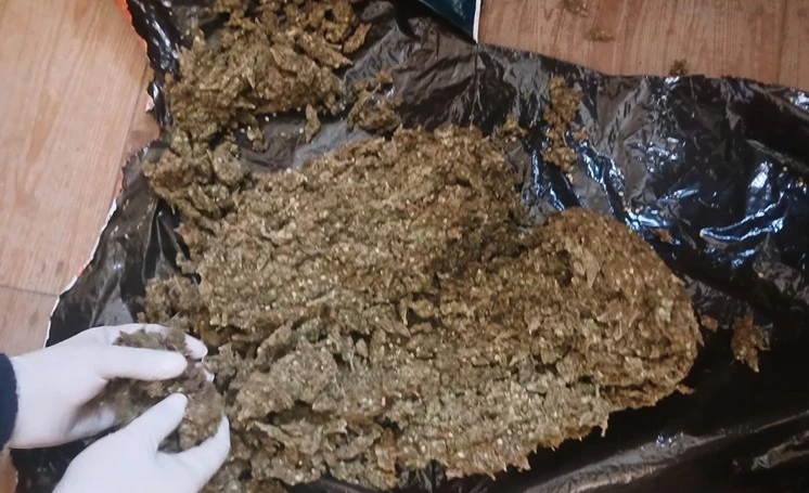 Cannabis worth R289,000 seized in Springbok