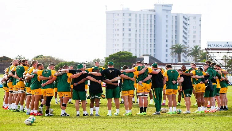 Van der Merwe says Le Roux’s presence will help him play natural game