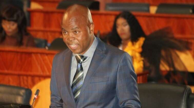 Mpumalanga’s new premier promises stability in the province