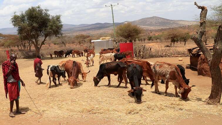 Giyani residents lament drought conditions