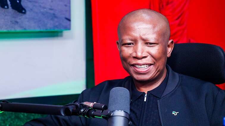 Malema says 2024 elections were their low point as a party