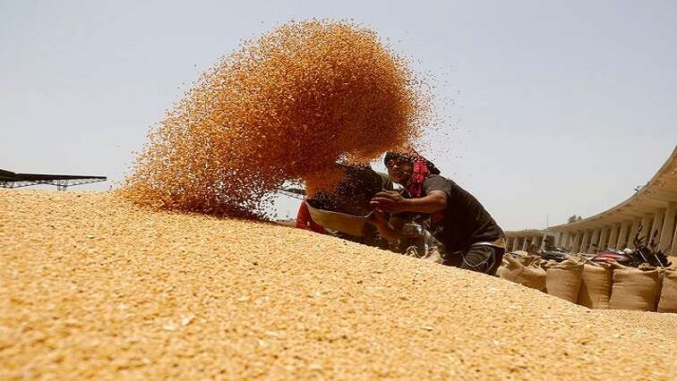 Harsh weather curbs global wheat output, buoys prices