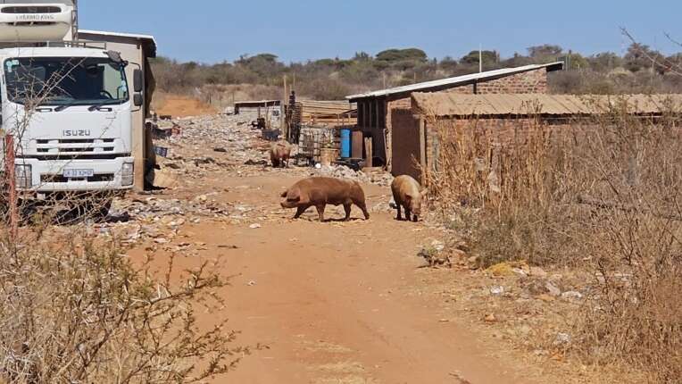 [SENSITIVE] Families of two women killed at pig farm still in shock