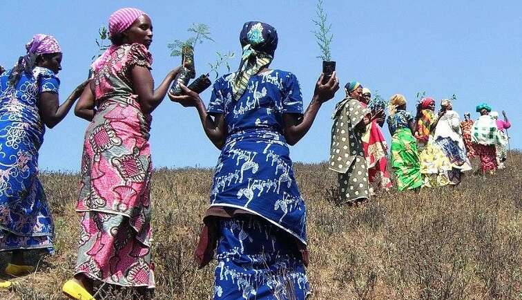 Women leading the charge: Transforming SA’s enviroment sector