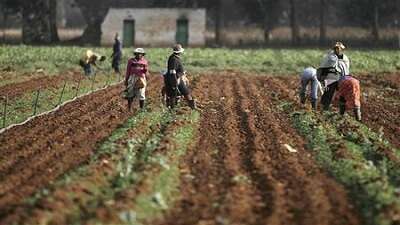 Farmers warned to protect workers from harsh weather conditions