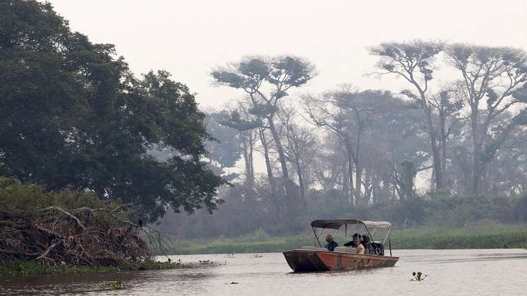 Methane from tropical wetlands surges, threats climate plans